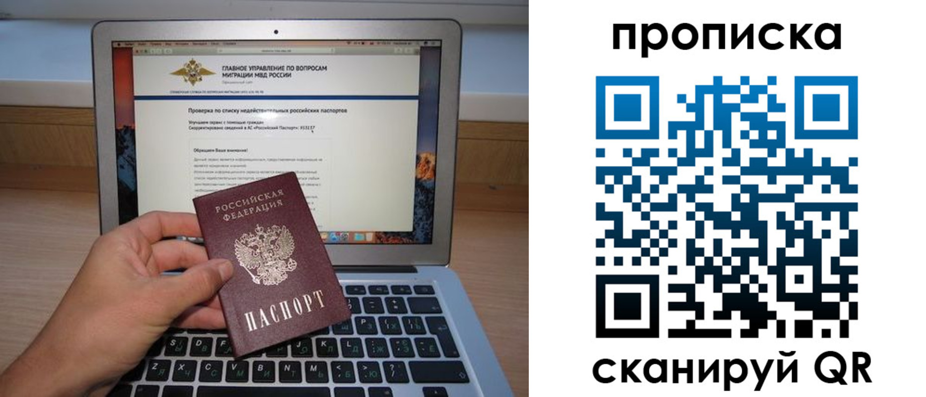 прописка поиск в Лыткарино