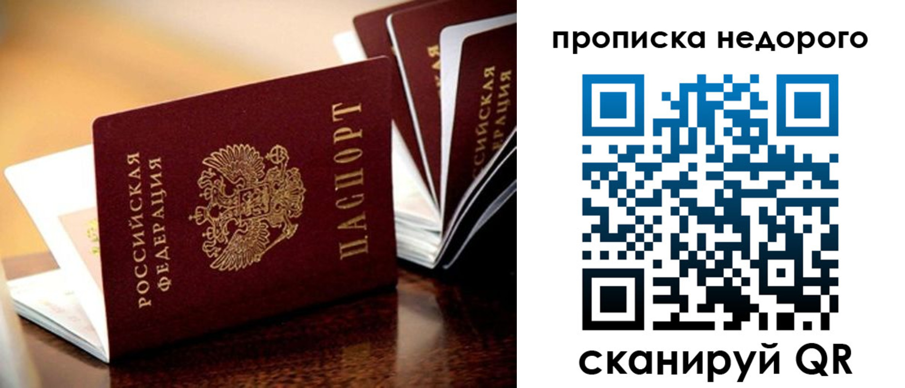 пропишу в квартире в Лыткарино